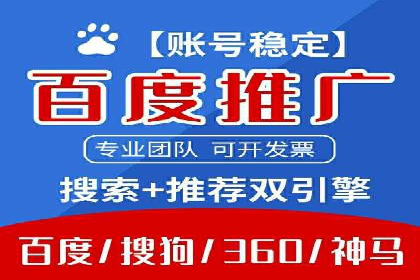 SEM服务公司助力电商增长案例